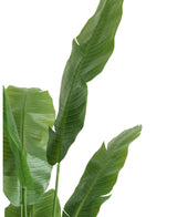 Kunstplant Strelitzia Nicolai Deluxe 165 cm