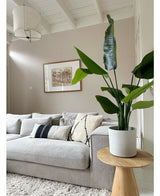 Kunstplant Strelitzia Real Touch Deluxe 120 cm