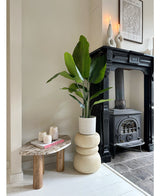 Kunstplant Strelitzia Real Touch Deluxe 120 cm