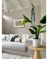 Kunstplant Strelitzia Real Touch Deluxe 120 cm