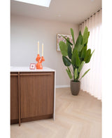 Kunstplant Strelitzia Real Touch Deluxe 210 cm