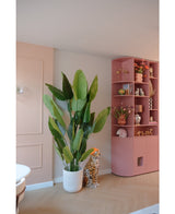 Kunstplant Strelitzia Real Touch Deluxe 210 cm