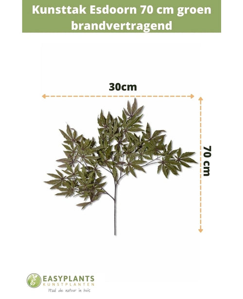 Kunsttak Esdoorn 70 cm groen brandvertragend, 30 cm breed, tegen een witte achtergrond met maataanduiding. Tekst bovenaan, Easyplants Kunstplanten logo onderaan. Ideaal voor een herfstaccent in je interieur.