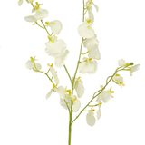 80 cm Kunsttijgerorchidee wit, een kunstmatige tijgerorchidee met witte bloemen en gele hartjes.