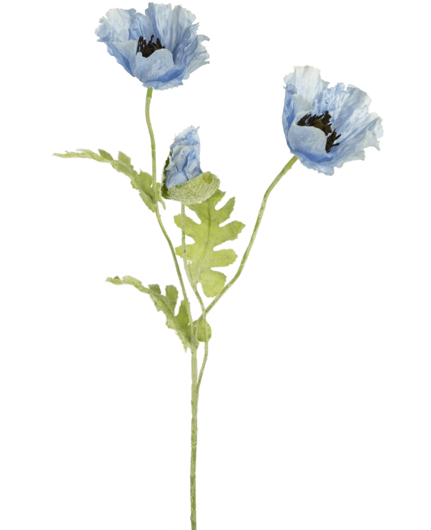 Aquarel illustratie van Kunstbloem klaproos 73 cm blauw met twee bloeiende blauwe klaproos bloemen en een knop met groene stengels en bladeren op een witte achtergrond.