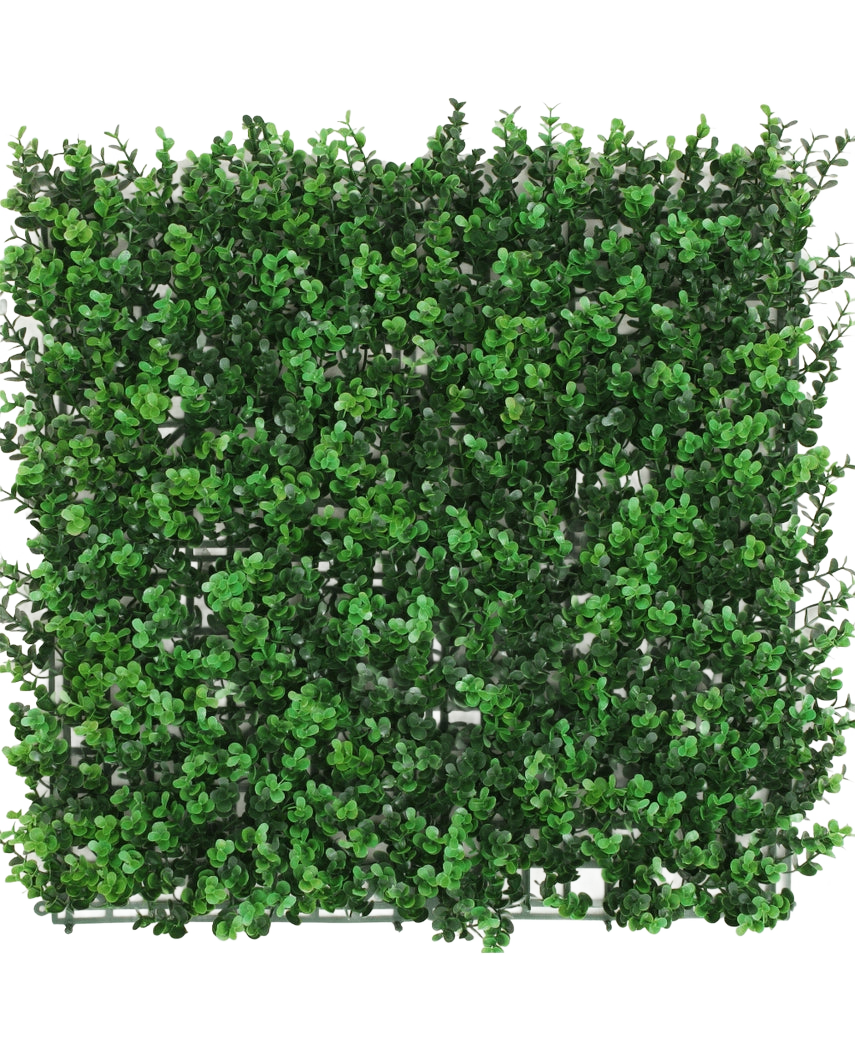 De Kunsthaag Buxus groen 50x50 cm UV is een vierkant paneel met dichte kunstgroene buxusbladeren, waardoor een weelderige haag ontstaat, van bovenaf gezien tegen een witte achtergrond.