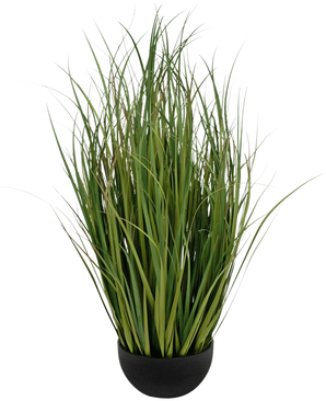 Kunstgras Dogtail uiengras Bran 80 cm, brandvertragend, in een kleine zwarte pot.