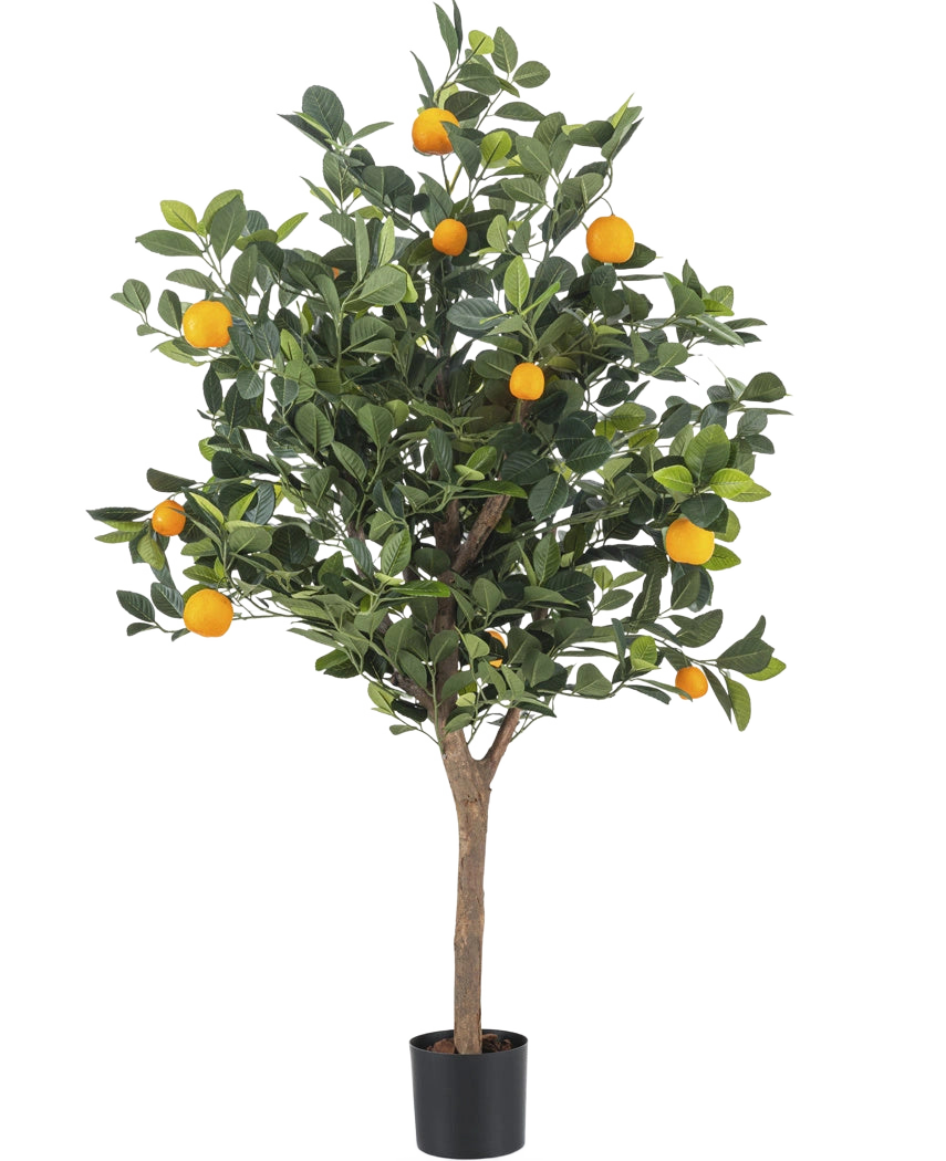 De Kunst sinaasappelboom 120 cm heeft dichte groene bladeren en levendige oranje vruchten tegen een effen witte achtergrond.