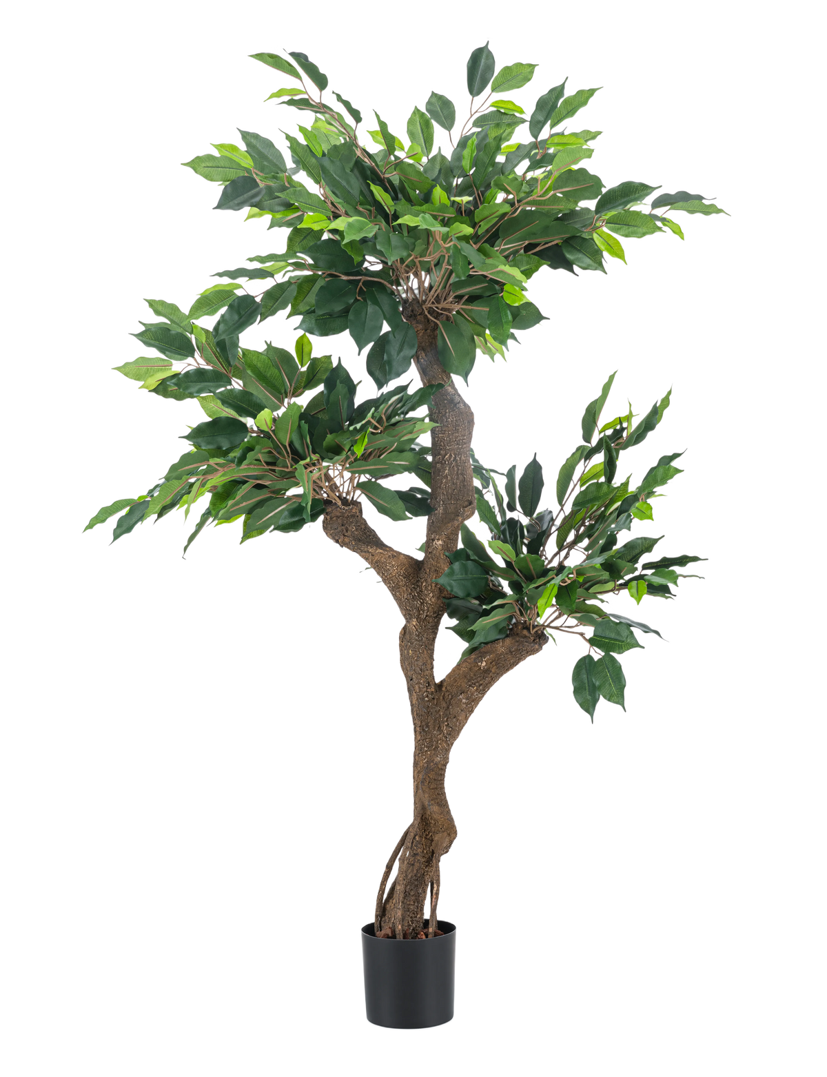 De Kunstplant Ficus Crazy 120 cm is een hoge kunstboom in pot met meerdere bruine stammen en dicht groen blad, afgebeeld tegen een effen witte achtergrond.