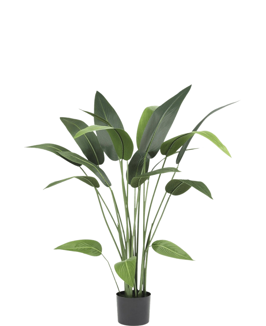 De Kunstplant Heliconia 110 cm, met lange stelen en brede groene bladeren, is ideaal voor kleine ruimtes inrichting of als kunstplant badkamer accent, mooi tegen een effen witte achtergrond.