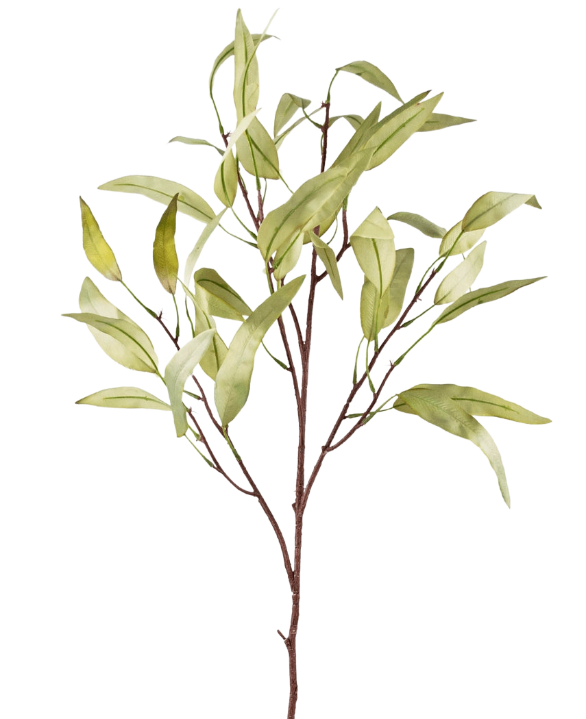 De Kunsttak Eucalyptus Niphophila 108 cm groen heeft een enkele bruine stam met meerdere dunne takken, elk versierd met langwerpige, lichtgroene bladeren, tegen een effen witte achtergrond.