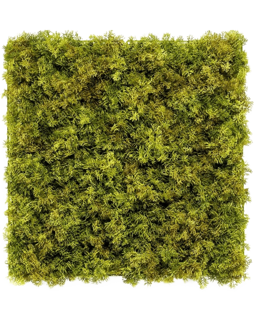 De Kunsthaag Nordic Mos 50x50 cm UV is een vierkant paneel dat dicht bedekt is met weelderig groen mos op een witte achtergrond, waardoor een getextureerde, natuurlijke look ontstaat die perfect is voor chique interieurs.