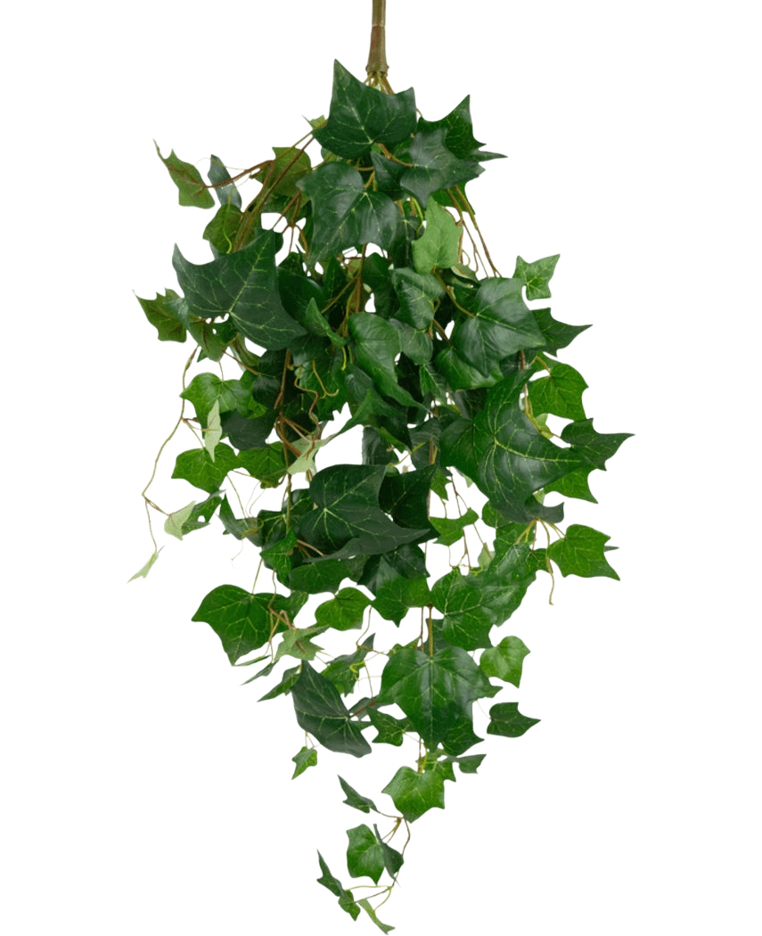 De Kunst klimop reuzenbladeren 100cm hebben weelderige groene klimopbladeren met puntige randen en slingerende ranken, prachtig weergegeven tegen een effen witte achtergrond.
