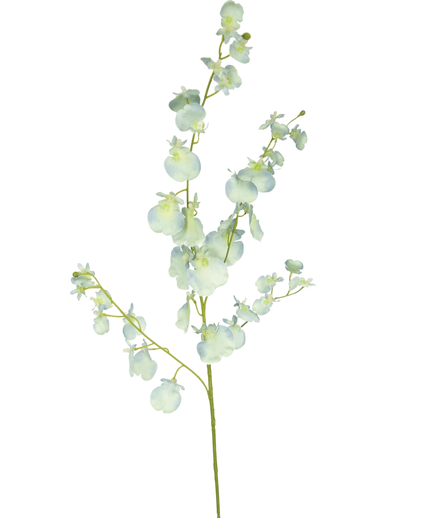Een enkele steel van Kunsttak Orchidee 80 cm in turquoise heeft meerdere kleine kunstbloesems en -knoppen, tegen een effen witte achtergrond.