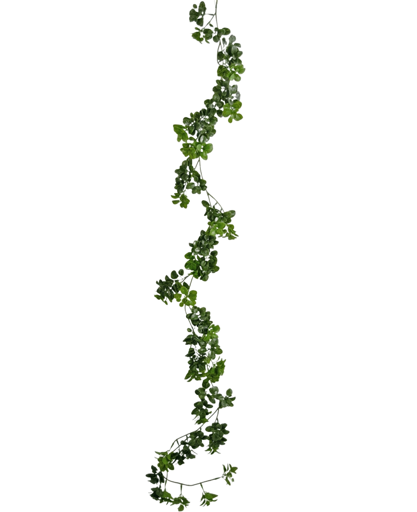 De Kunst slingerplant Gardenia 157 cm heeft een enkele, lange groene liaan met kleine blaadjes die verticaal tegen een effen witte achtergrond hangt.