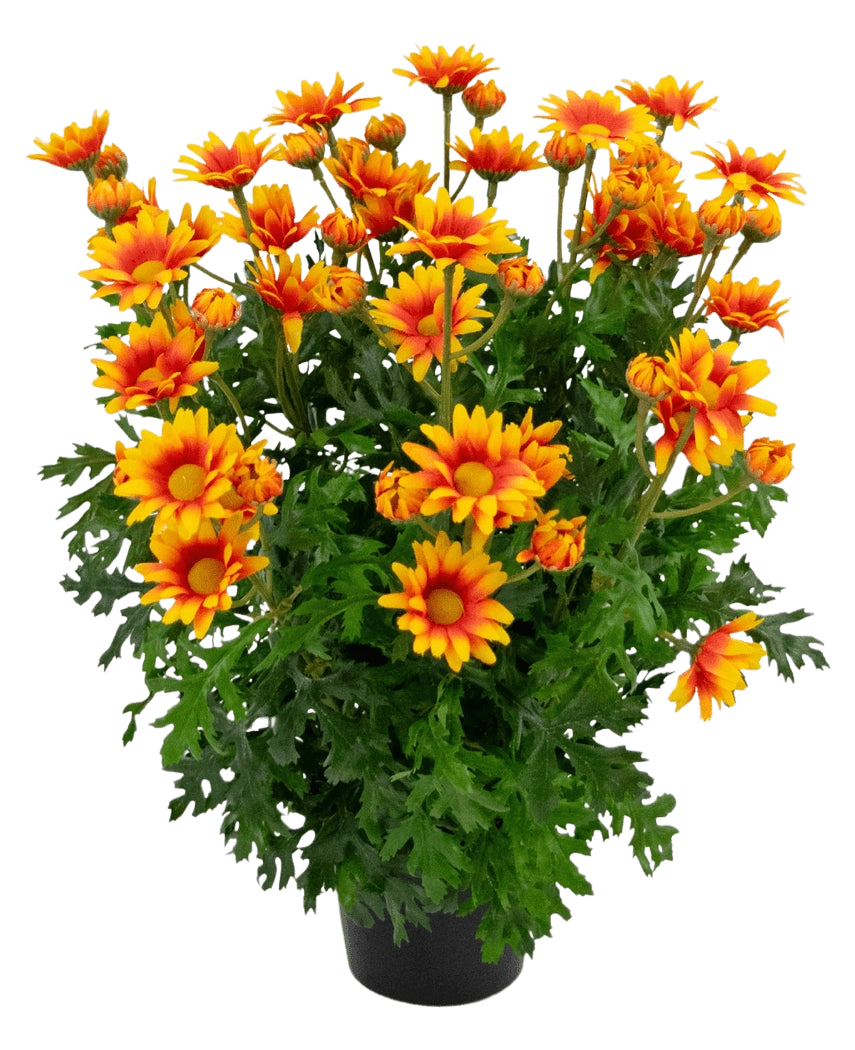 De Kunstplant Daisy UV 31 cm heeft levendige oranje en gele margrietachtige bloemen met weelderige, diep gelobde groene bladeren, allemaal in een potarrangement geïsoleerd op een witte achtergrond.
