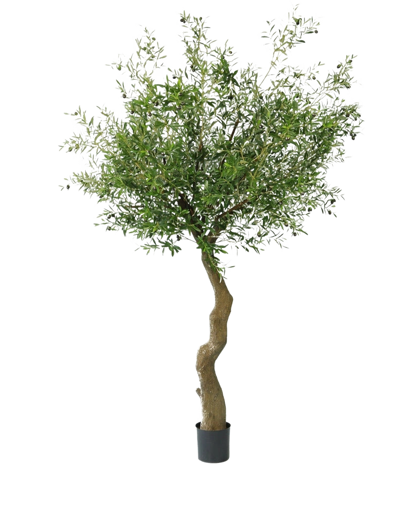 De Kunst olijfboom 270 cm met olijven heeft een gedraaide stam en volle groene bladeren met realistische olijven, prachtig gepresenteerd in pot en afgebeeld tegen een witte achtergrond.