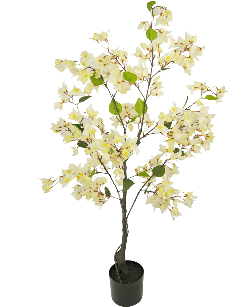 De Kunstplant Bougainvillea 120 cm wit is een kunstboom in pot met slanke takken, groene bladeren en overvloedige lichtgele en witte bloemen tegen een effen witte achtergrond.
