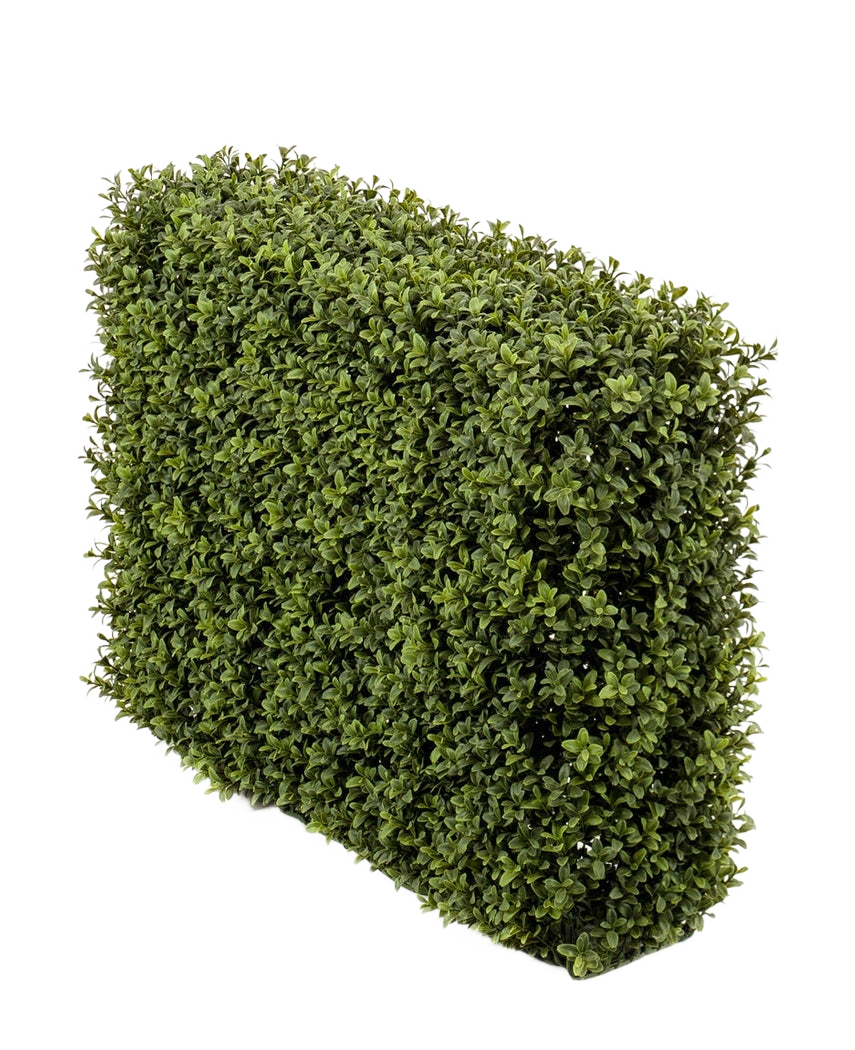 De Kunst Buxushaag UV 70x20x50 cm, een dichte groene rechthoekige haag met kleine blaadjes, wordt getoond in een UV-beschermde kunststof plantenbak tegen een effen witte achtergrond.