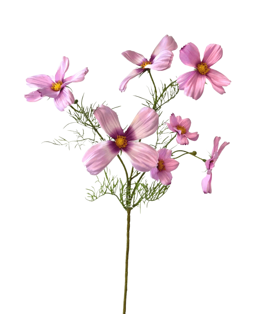 De Kunstbloem Cosmos 74 cm roze heeft een enkele stengel met meerdere lichtroze cosmos bloemen en delicate groene blaadjes, prachtig weergegeven tegen een witte achtergrond.