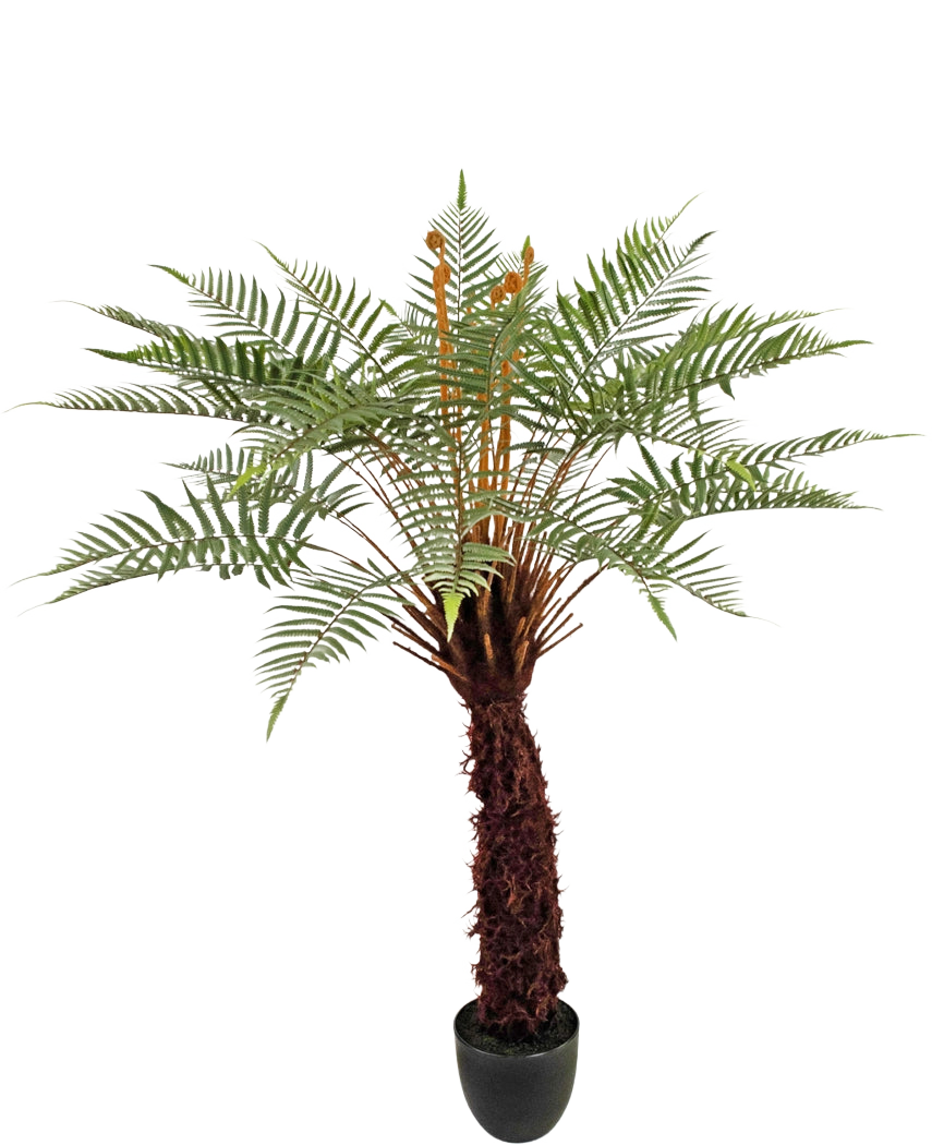 De Kunstplant Dicksonia 127 cm is een hoge varen in pot met een bruine, gestructureerde stam en lange, gebogen groene bladeren tegen een witte achtergrond.