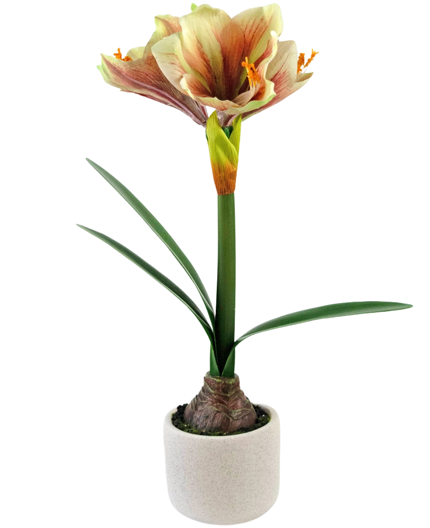 De Kunstbloem Amaryllis Real Touch Rood/geel 48 cm heeft levensechte groene bladeren en een hoge steel met trompetvormige rode en gele bloemen, prachtig gepresenteerd tegen een witte achtergrond.