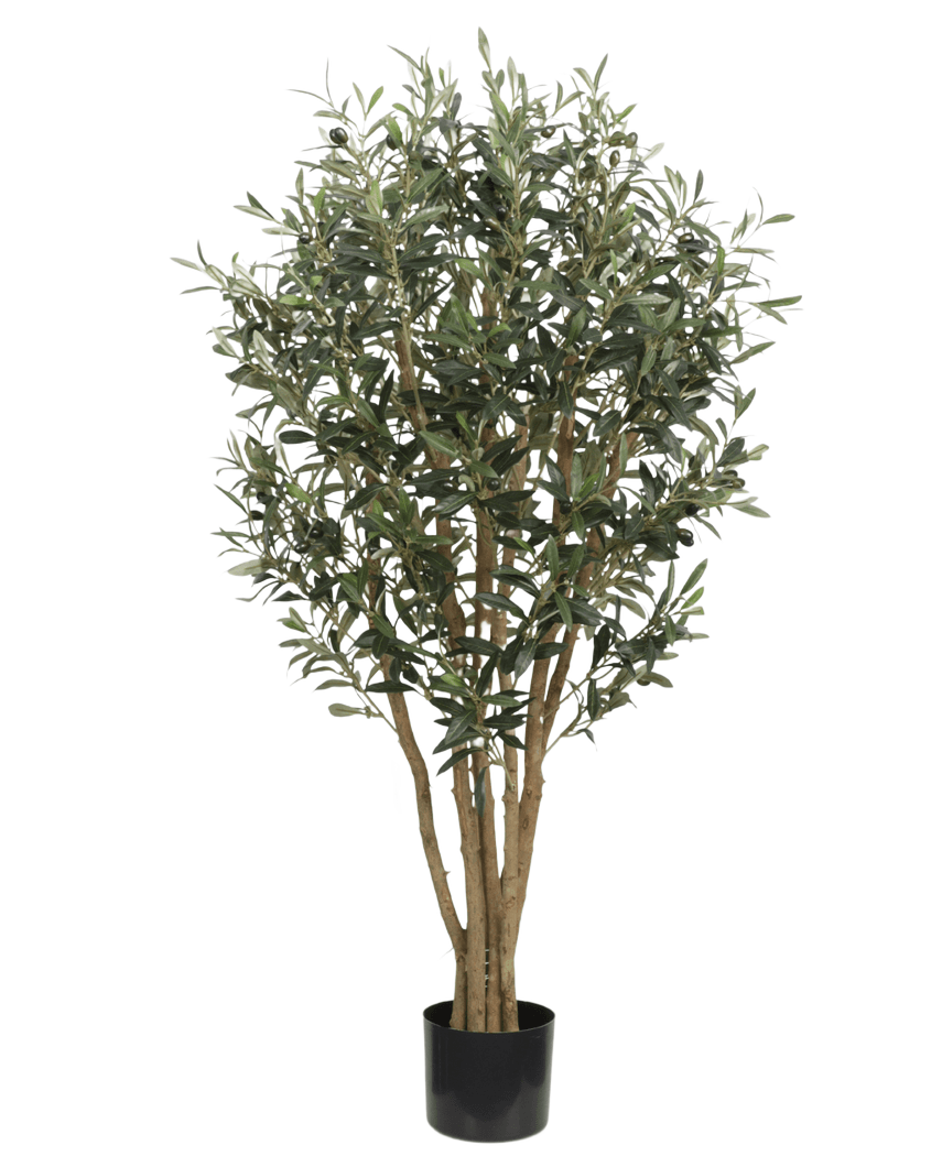 De Kunst olijfboom UV 120 cm heeft slanke lichtbruine stammen en dichte groene bladeren, is UV-bestendig voor blijvende schoonheid buitenshuis en wordt geleverd in een eenvoudige zwarte pot - ideaal als kunstplant buiten tegen elke achtergrond.