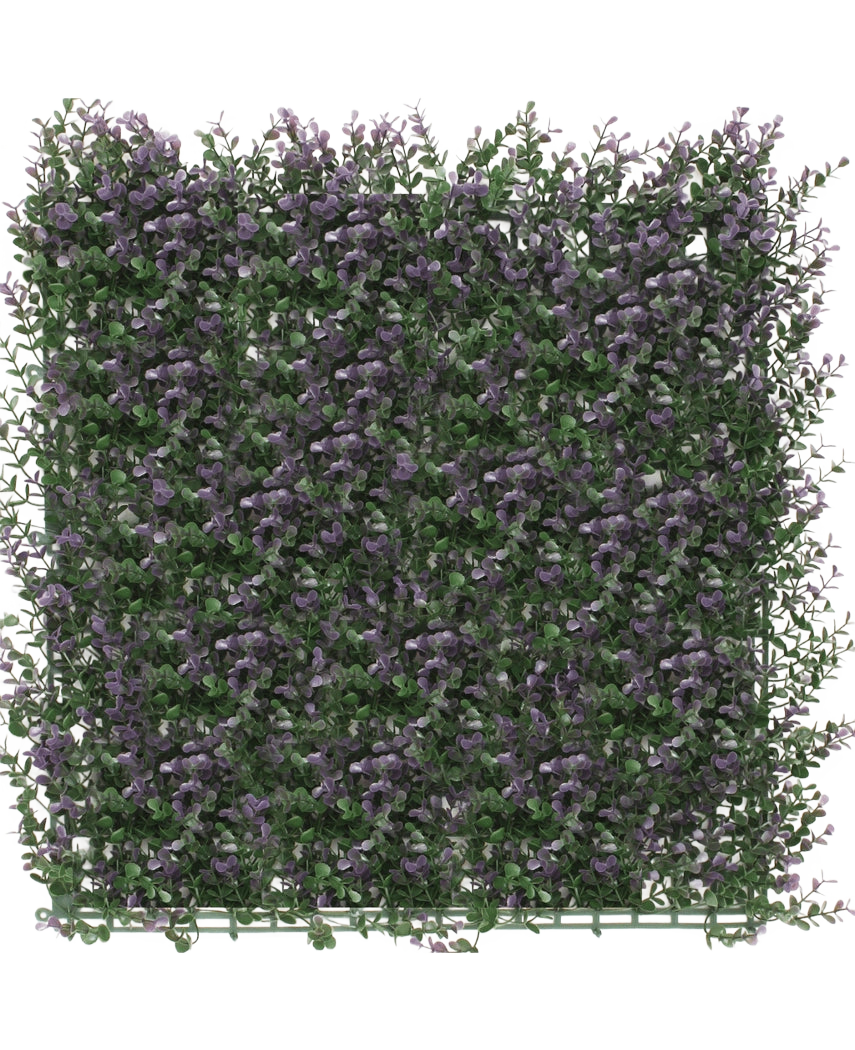 De Kunsthaag Buxus paars 50x50 cm UV is een dicht, vierkant paneel van kunstgroen met kleine paarse bloemen, waardoor een weelderige verticale tuinmat ontstaat die perfect is om een witte achtergrond op te fleuren.