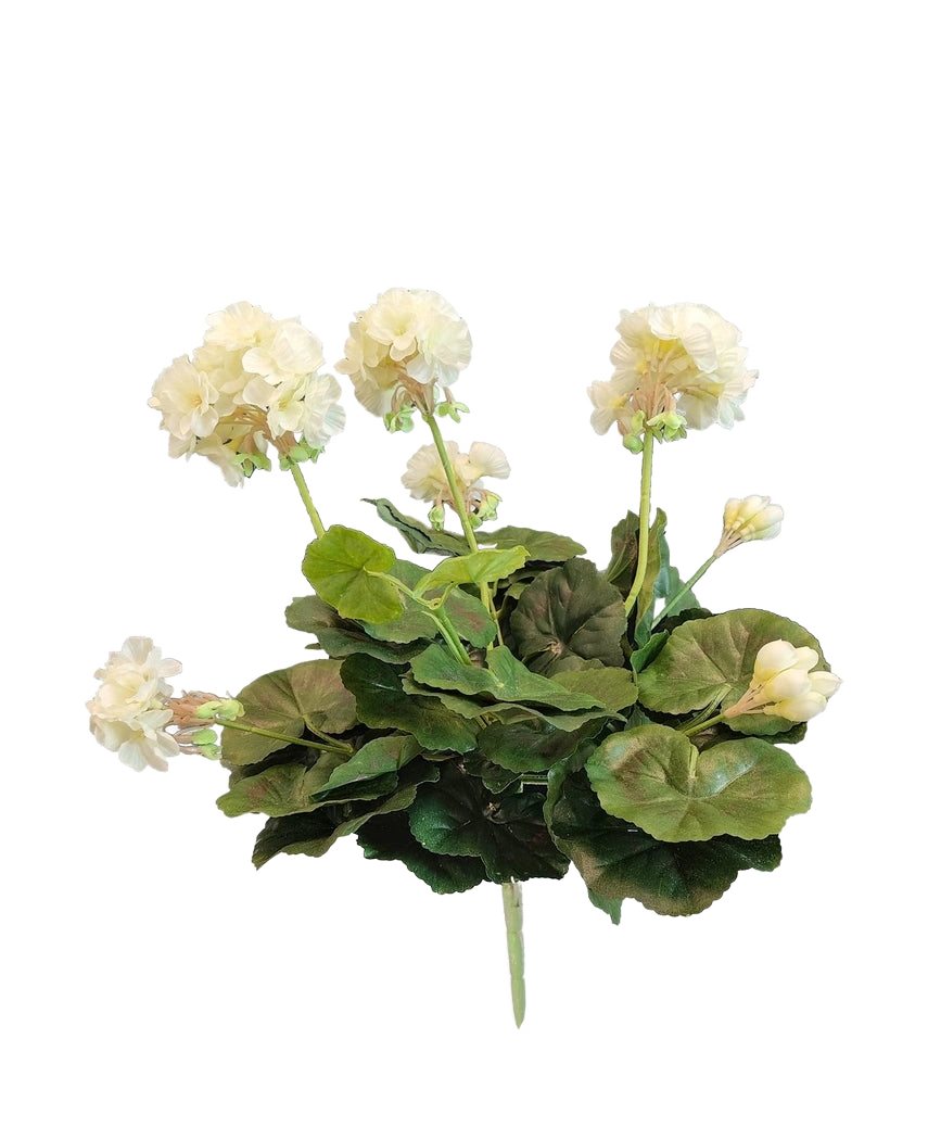De Kunst Geranium 40 cm wit heeft levensechte witte bloemen en weelderige groene bladeren - perfect om tijdloze elegantie toe te voegen aan je kunstplant- of kunstbloemencollectie.