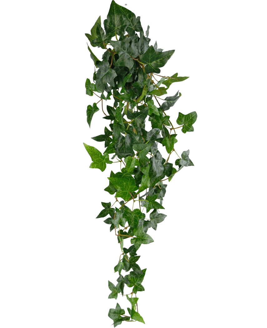 De Kunst hangplant Klimop Boston 100 cm groen heeft weelderige groene puntige bladeren op lange, dunne stelen, waardoor een realistisch trailing klimop effect ontstaat tegen een effen witte achtergrond.