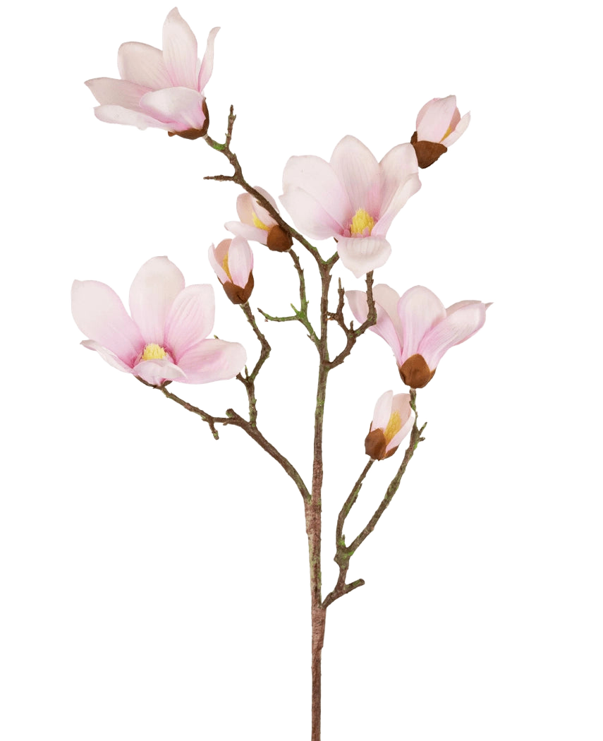De Kunstmagnoliatak Real Touch Roze 98cm heeft verschillende lichtroze magnolia bloemen en knoppen met zachte bloemblaadjes, een geel hart en bruine stelen, allemaal tegen een witte achtergrond.