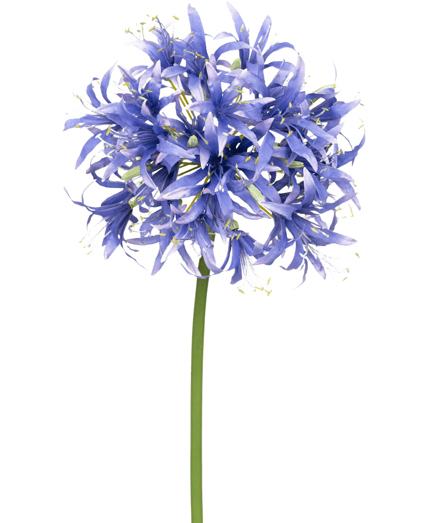 Een Kunstbloem Nerine 70 cm paars met veel kleine stervormige paarse bloesems in een bolvormige cluster op een lange groene steel, tegen een effen witte achtergrond.
