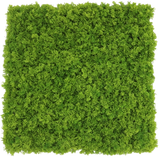 Een Kunsthaag Bergmos merkvast vierkant paneel van 50x50 cm met dicht, levendig groen mos, van bovenaf gezien op een witte achtergrond.