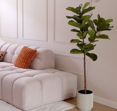 Kunstplant Ficus Tabaksplant in huis.