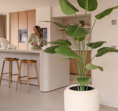 Welke Strelitzia Kunstplant past bij jou?