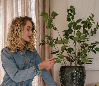 Creëer een groene roomdivider met kleine kunstplanten!