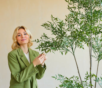 Stijlvol Wonen met de Kunstplant Ruscus