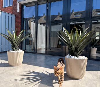 Kunstplanten voor buiten: Agava Pandora.