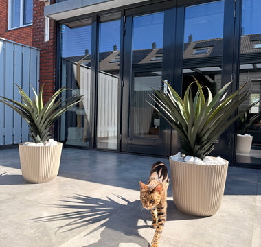 Kunstplanten voor buiten: Agava Pandora.
