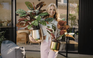 Kun Je Kunstplanten Buiten Zetten?
