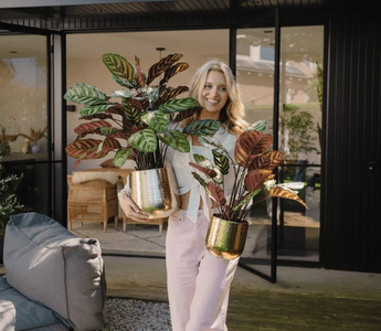 Kun Je Kunstplanten Buiten Zetten?