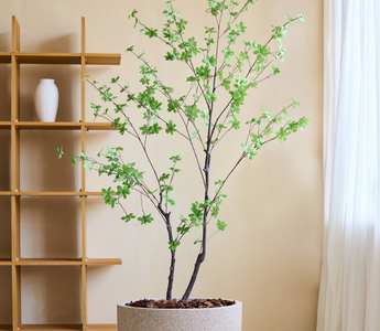 De Enkianthus Kunstplant als Must-Have Interieuraccessoire