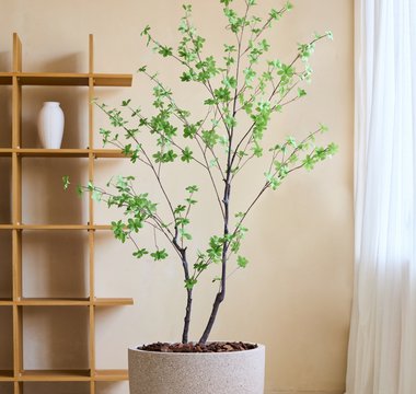 De Enkianthus Kunstplant als Must-Have Interieuraccessoire