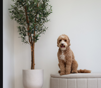 Kunstplanten en dieren.