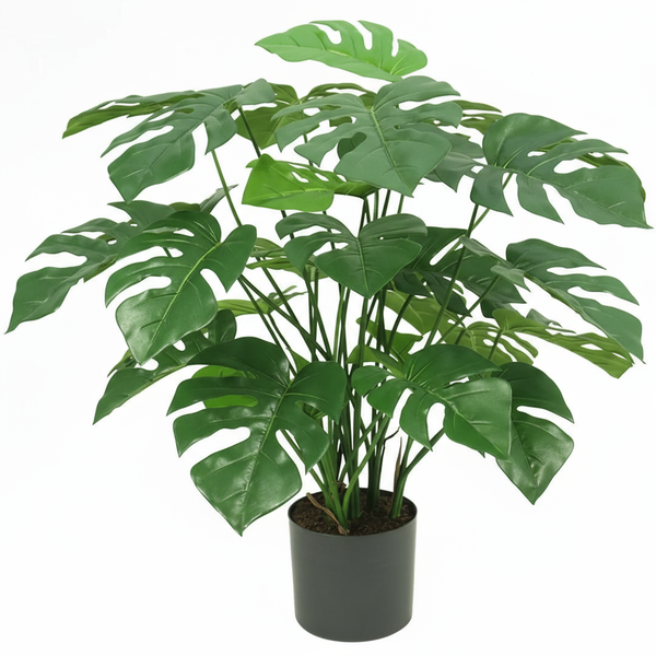 Kunst Monstera & Philo