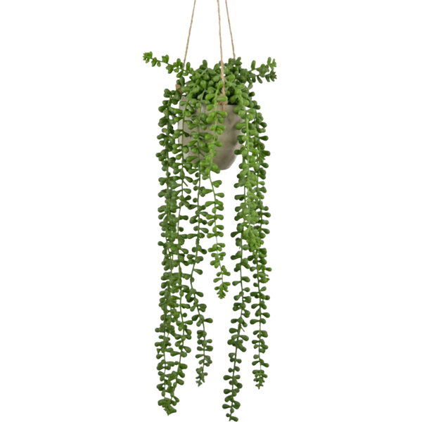 Kunst Hangplanten