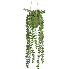 Kunst hangplanten in pot
