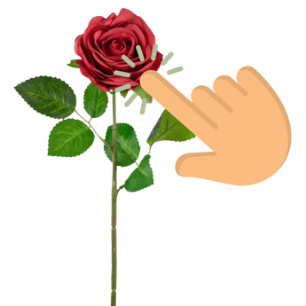 Een geïllustreerde hand raakt de bloemblaadjes aan van een rode roos op een groene stengel met bladeren, met lijnen rond het aanraakpunt die interactie aangeven, tegen een effen witte achtergrond.