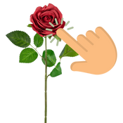 Real Touch