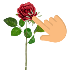 Real Touch